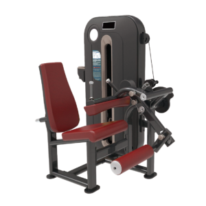 SEATED LEG EXTENSION / CURL HAP 8
