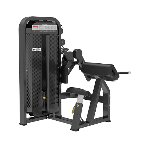 BICEPS / TRICEPS HSS-712