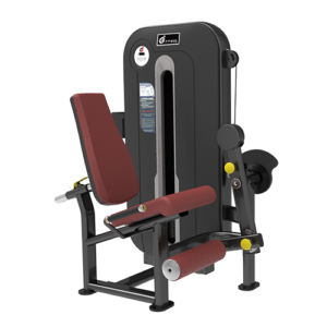 LEG EXTENSION HAP 4