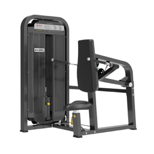 TRICEPS DIP HSS-710