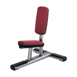 GYM CHAIR HSS-783